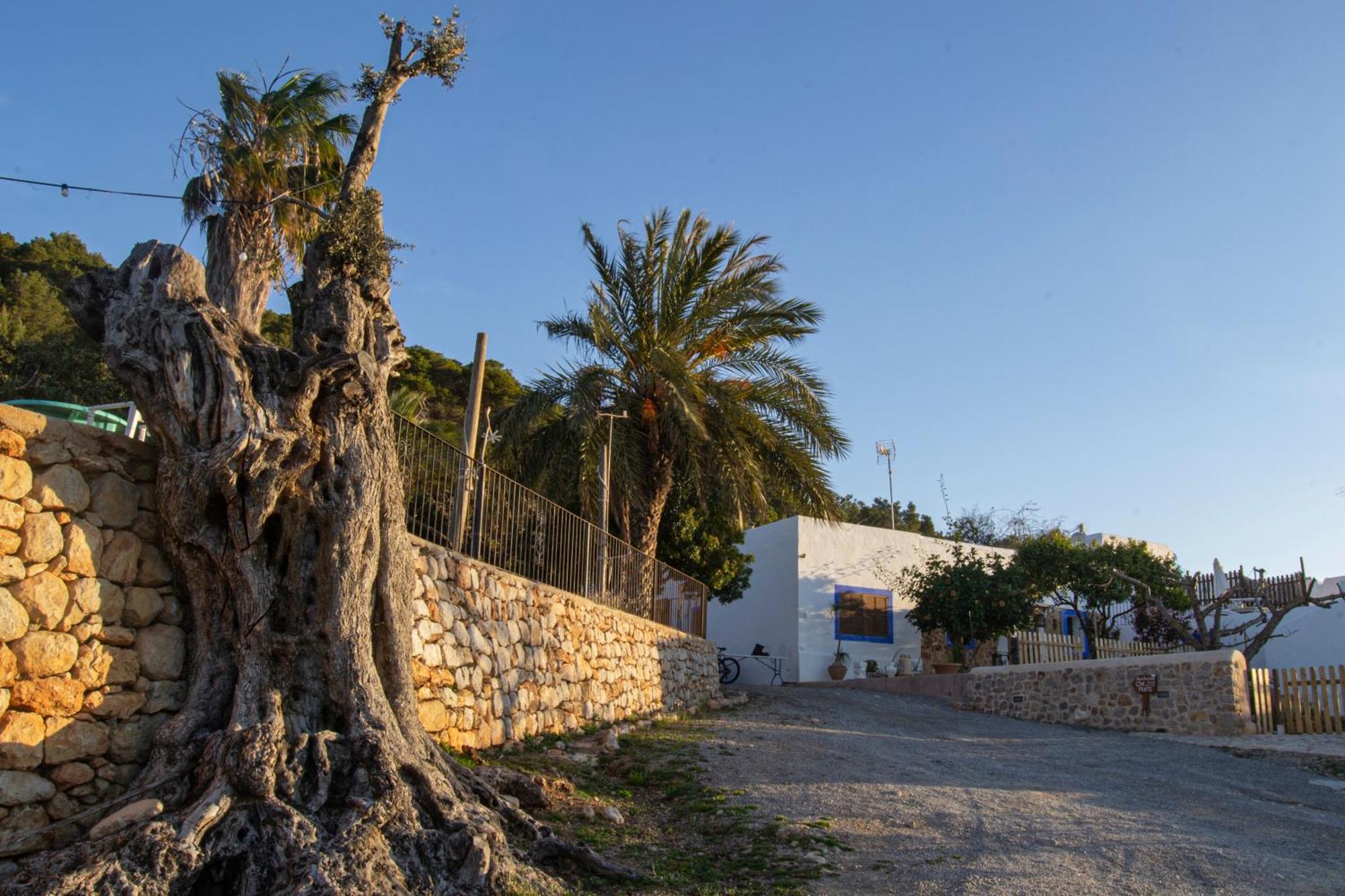 סאנט קארלס דה פראלטה Agroturismo Rural Can Prats מראה חיצוני תמונה