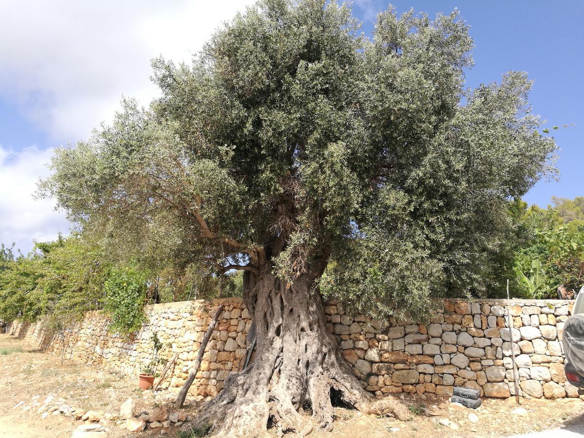 סאנט קארלס דה פראלטה Agroturismo Rural Can Prats מראה חיצוני תמונה