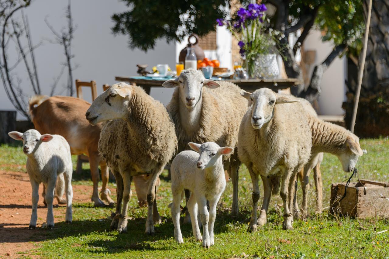 סאנט קארלס דה פראלטה Agroturismo Rural Can Prats מראה חיצוני תמונה